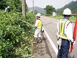 草刈り